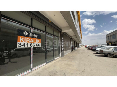 WhatsApp Image 2025-05-12 at 16.23.58.jpeg